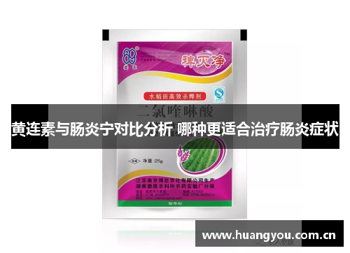 黄连素与肠炎宁对比分析 哪种更适合治疗肠炎症状