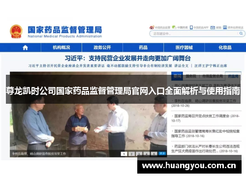 尊龙凯时公司国家药品监督管理局官网入口全面解析与使用指南